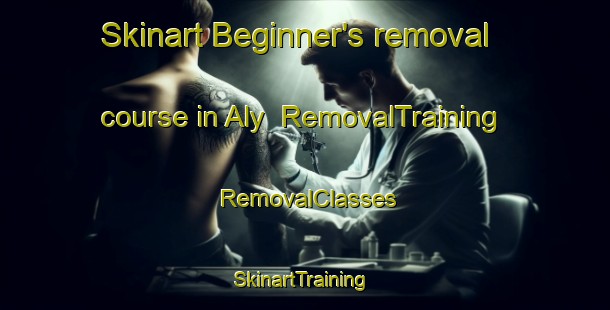 Skinart Beginner's removal course in Aly | RemovalTraining | RemovalClasses | SkinartTraining-Russia