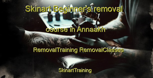 Skinart Beginner's removal course in Annaakh | #RemovalTraining #RemovalClasses #SkinartTraining-Russia