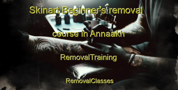 Skinart Beginner's removal course in Annaakh | RemovalTraining | RemovalClasses | SkinartTraining-Russia