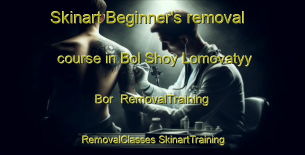 Skinart Beginner's removal course in Bol Shoy Lomovatyy Bor | #RemovalTraining #RemovalClasses #SkinartTraining-Russia