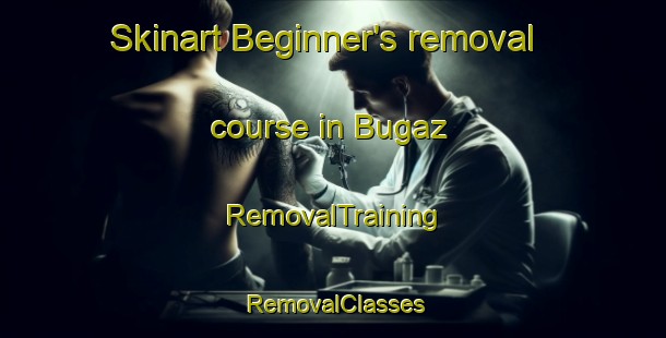 Skinart Beginner's removal course in Bugaz | RemovalTraining | RemovalClasses | SkinartTraining-Russia