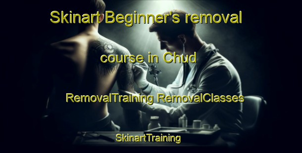 Skinart Beginner's removal course in Chud | #RemovalTraining #RemovalClasses #SkinartTraining-Russia