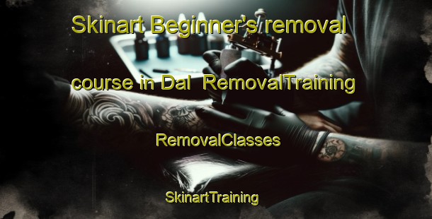 Skinart Beginner's removal course in Dal | RemovalTraining | RemovalClasses | SkinartTraining-Russia