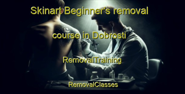 Skinart Beginner's removal course in Dobrosti | RemovalTraining | RemovalClasses | SkinartTraining-Russia