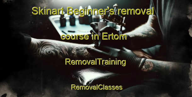 Skinart Beginner's removal course in Ertom | RemovalTraining | RemovalClasses | SkinartTraining-Russia