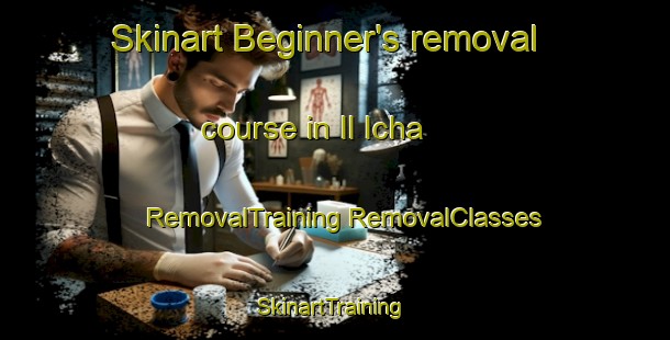 Skinart Beginner's removal course in Il Icha | #RemovalTraining #RemovalClasses #SkinartTraining-Russia