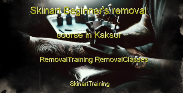 Skinart Beginner's removal course in Kaksur | #RemovalTraining #RemovalClasses #SkinartTraining-Russia