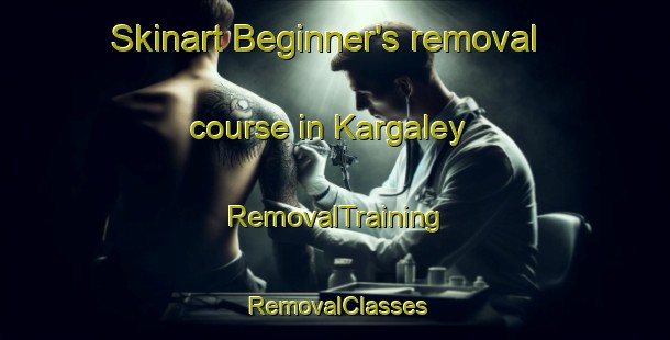 Skinart Beginner's removal course in Kargaley | RemovalTraining | RemovalClasses | SkinartTraining-Russia