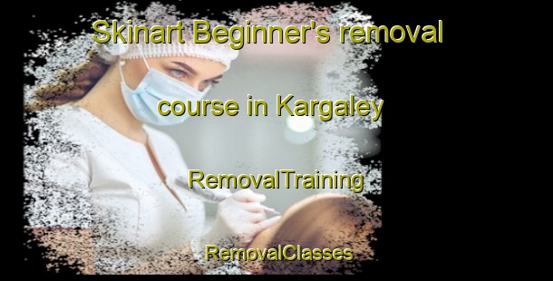 Skinart Beginner's removal course in Kargaley | RemovalTraining | RemovalClasses | SkinartTraining-Russia