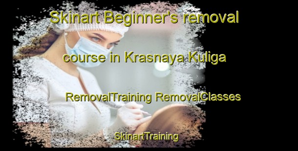 Skinart Beginner's removal course in Krasnaya Kuliga | #RemovalTraining #RemovalClasses #SkinartTraining-Russia