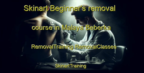 Skinart Beginner's removal course in Malaya Beberka | #RemovalTraining #RemovalClasses #SkinartTraining-Russia