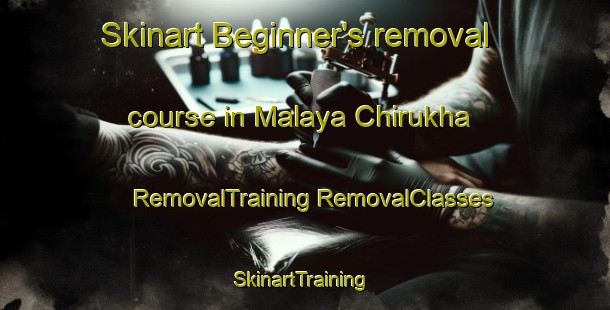 Skinart Beginner's removal course in Malaya Chirukha | #RemovalTraining #RemovalClasses #SkinartTraining-Russia