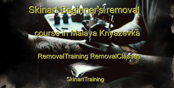 Skinart Beginner's removal course in Malaya Knyazevka | #RemovalTraining #RemovalClasses #SkinartTraining-Russia