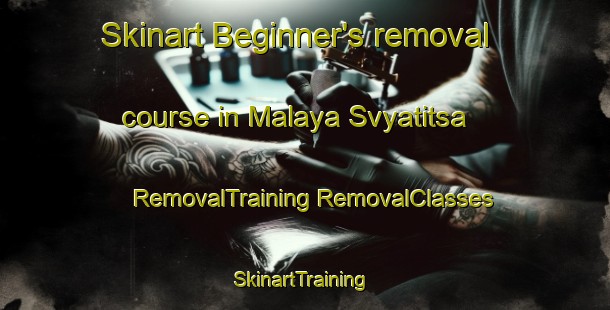 Skinart Beginner's removal course in Malaya Svyatitsa | #RemovalTraining #RemovalClasses #SkinartTraining-Russia