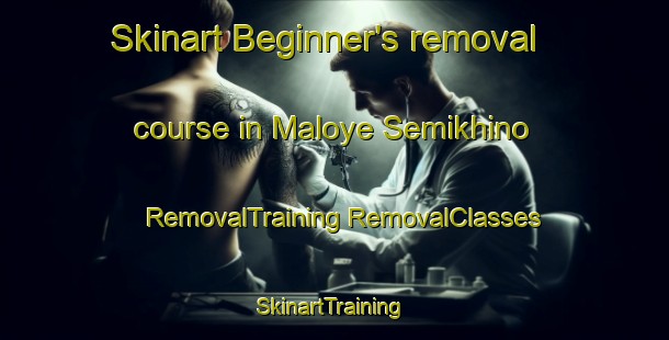 Skinart Beginner's removal course in Maloye Semikhino | #RemovalTraining #RemovalClasses #SkinartTraining-Russia