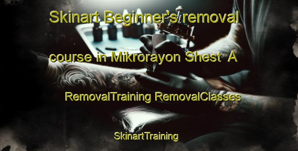 Skinart Beginner's removal course in Mikrorayon Shest  A | #RemovalTraining #RemovalClasses #SkinartTraining-Russia