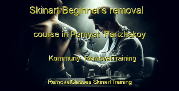 Skinart Beginner's removal course in Pamyat  Parizhskoy Kommuny | #RemovalTraining #RemovalClasses #SkinartTraining-Russia