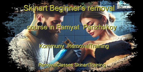 Skinart Beginner's removal course in Pamyat  Parizhskoy Kommuny | #RemovalTraining #RemovalClasses #SkinartTraining-Russia