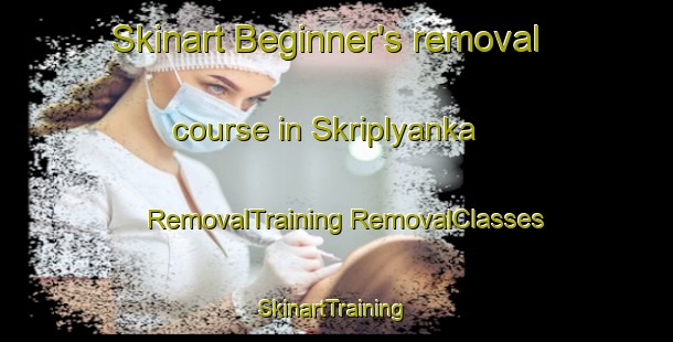 Skinart Beginner's removal course in Skriplyanka | #RemovalTraining #RemovalClasses #SkinartTraining-Russia