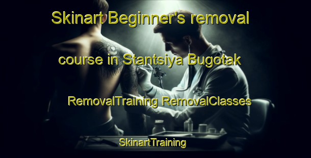 Skinart Beginner's removal course in Stantsiya Bugotak | #RemovalTraining #RemovalClasses #SkinartTraining-Russia