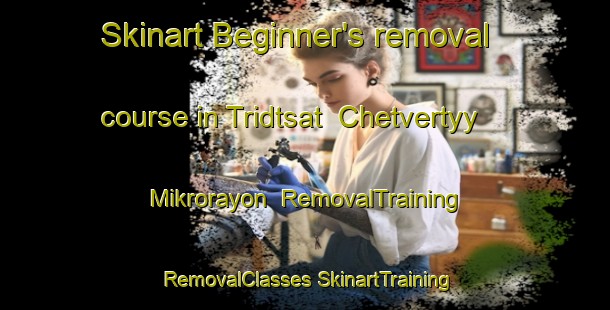 Skinart Beginner's removal course in Tridtsat  Chetvertyy Mikrorayon | #RemovalTraining #RemovalClasses #SkinartTraining-Russia