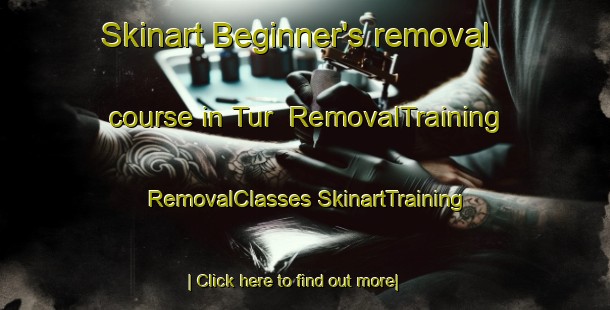 Skinart Beginner's removal course in Tur | #RemovalTraining #RemovalClasses #SkinartTraining-Russia