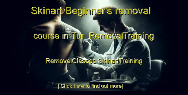 Skinart Beginner's removal course in Tur | #RemovalTraining #RemovalClasses #SkinartTraining-Russia