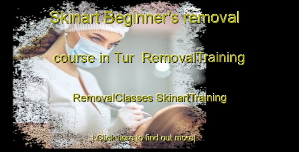 Skinart Beginner's removal course in Tur | #RemovalTraining #RemovalClasses #SkinartTraining-Russia