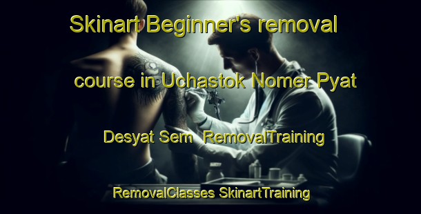 Skinart Beginner's removal course in Uchastok Nomer Pyat Desyat Sem | #RemovalTraining #RemovalClasses #SkinartTraining-Russia