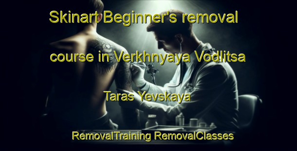 Skinart Beginner's removal course in Verkhnyaya Vodlitsa Taras Yevskaya | #RemovalTraining #RemovalClasses #SkinartTraining-Russia