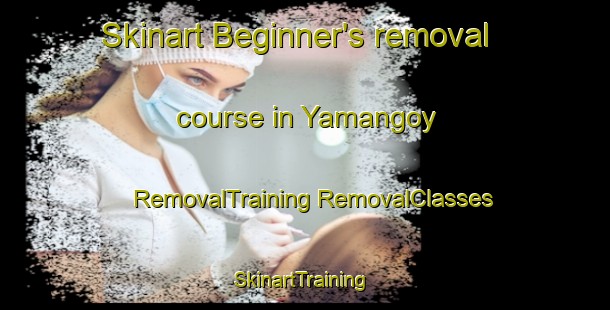 Skinart Beginner's removal course in Yamangoy | #RemovalTraining #RemovalClasses #SkinartTraining-Russia