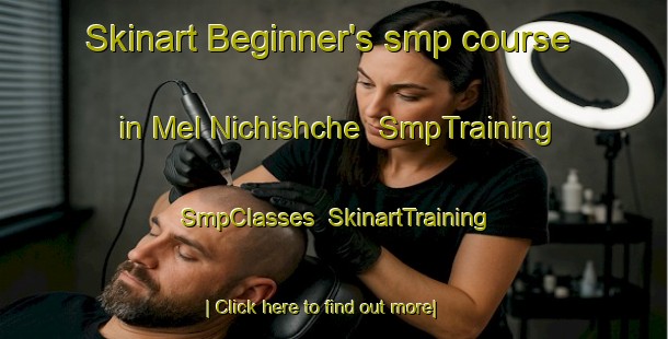 Skinart Beginner's smp course in Mel Nichishche | SmpTraining | SmpClasses | SkinartTraining-Russia