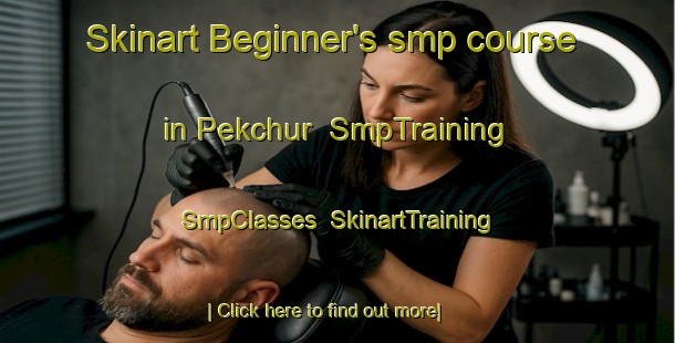 Skinart Beginner's smp course in Pekchur | SmpTraining | SmpClasses | SkinartTraining-Russia