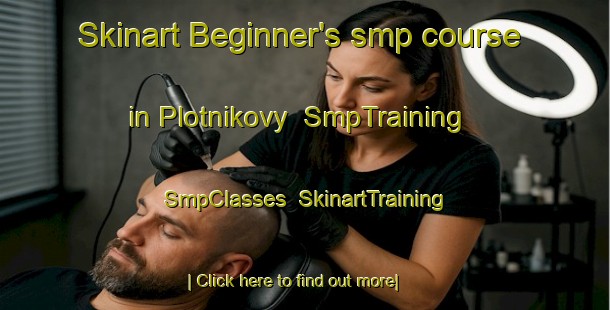 Skinart Beginner's smp course in Plotnikovy | SmpTraining | SmpClasses | SkinartTraining-Russia