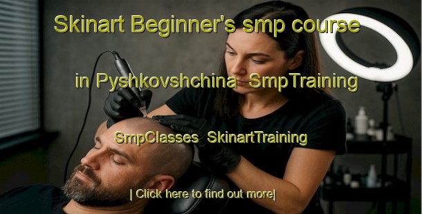 Skinart Beginner's smp course in Pyshkovshchina | SmpTraining | SmpClasses | SkinartTraining-Russia
