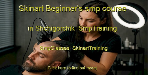 Skinart Beginner's smp course in Shchigorchik | SmpTraining | SmpClasses | SkinartTraining-Russia