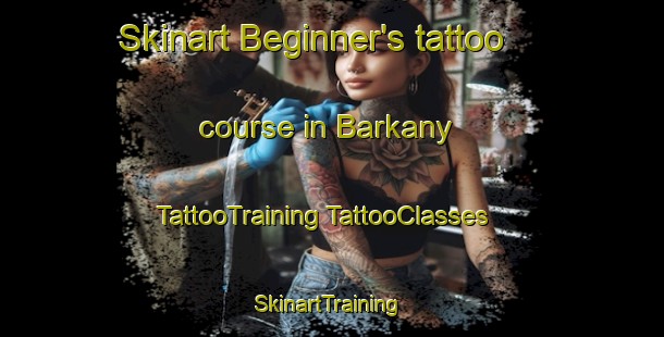 Skinart Beginner's tattoo course in Barkany | #TattooTraining #TattooClasses #SkinartTraining-Russia