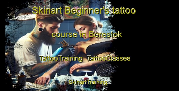 Skinart Beginner's tattoo course in Berestok | TattooTraining | TattooClasses | SkinartTraining-Russia