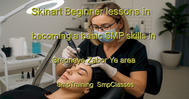 Skinart Beginner lessons in becoming a basic SMP skills in Sredneye Zabor Ye area | SmpTraining | SmpClasses | SkinartTraining-Russia
