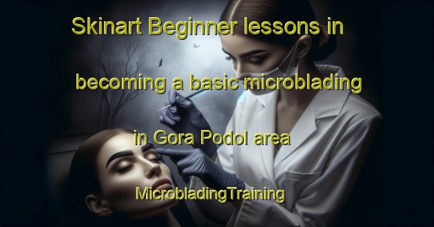 Skinart Beginner lessons in becoming a basic microblading in Gora Podol area | MicrobladingTraining | MicrobladingClasses | SkinartTraining-Russia