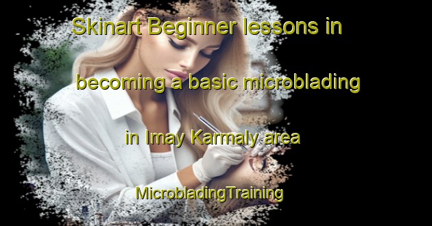 Skinart Beginner lessons in becoming a basic microblading in Imay Karmaly area | MicrobladingTraining | MicrobladingClasses | SkinartTraining-Russia
