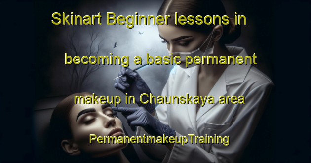 Skinart Beginner lessons in becoming a basic permanent makeup in Chaunskaya area | PermanentmakeupTraining | PermanentmakeupClasses | SkinartTraining-Russia