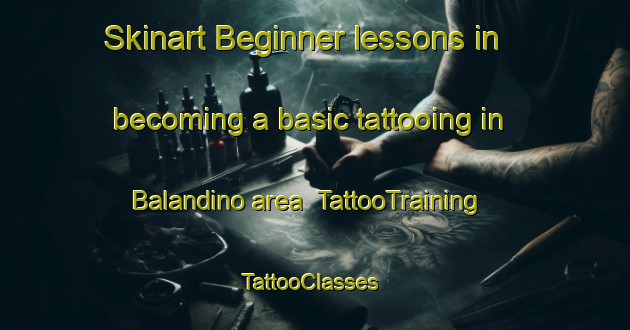 Skinart Beginner lessons in becoming a basic tattooing in Balandino area | TattooTraining | TattooClasses | SkinartTraining-Russia