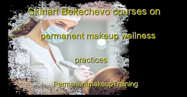 Skinart Bekechevo courses on permanent makeup wellness practices | PermanentmakeupTraining | PermanentmakeupClasses | SkinartTraining-Russia