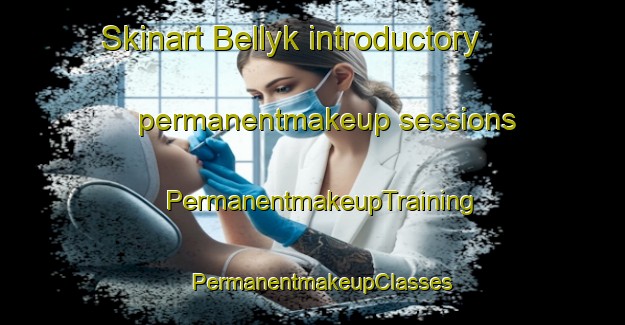 Skinart Bellyk introductory permanentmakeup sessions | PermanentmakeupTraining | PermanentmakeupClasses | SkinartTraining-Russia