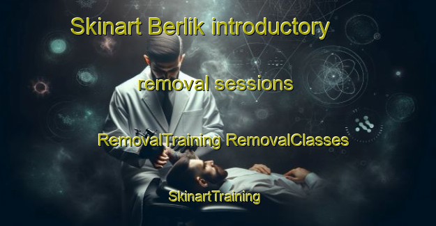 Skinart Berlik introductory removal sessions | #RemovalTraining #RemovalClasses #SkinartTraining-Russia