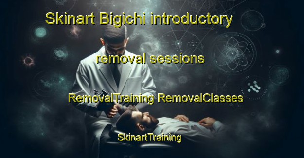 Skinart Bigichi introductory removal sessions | #RemovalTraining #RemovalClasses #SkinartTraining-Russia