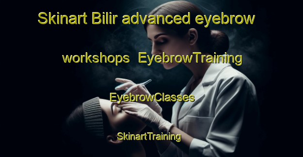 Skinart Bilir advanced eyebrow workshops | EyebrowTraining | EyebrowClasses | SkinartTraining-Russia