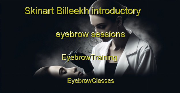 Skinart Billeekh introductory eyebrow sessions | EyebrowTraining | EyebrowClasses | SkinartTraining-Russia