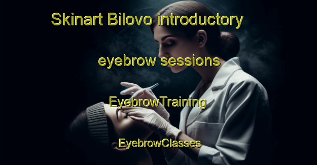 Skinart Bilovo introductory eyebrow sessions | EyebrowTraining | EyebrowClasses | SkinartTraining-Russia